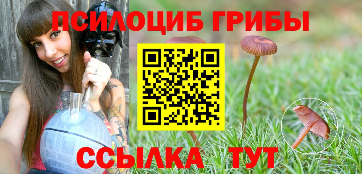 Галлюциногенные грибы Psilocybine cubensis Дзержинск