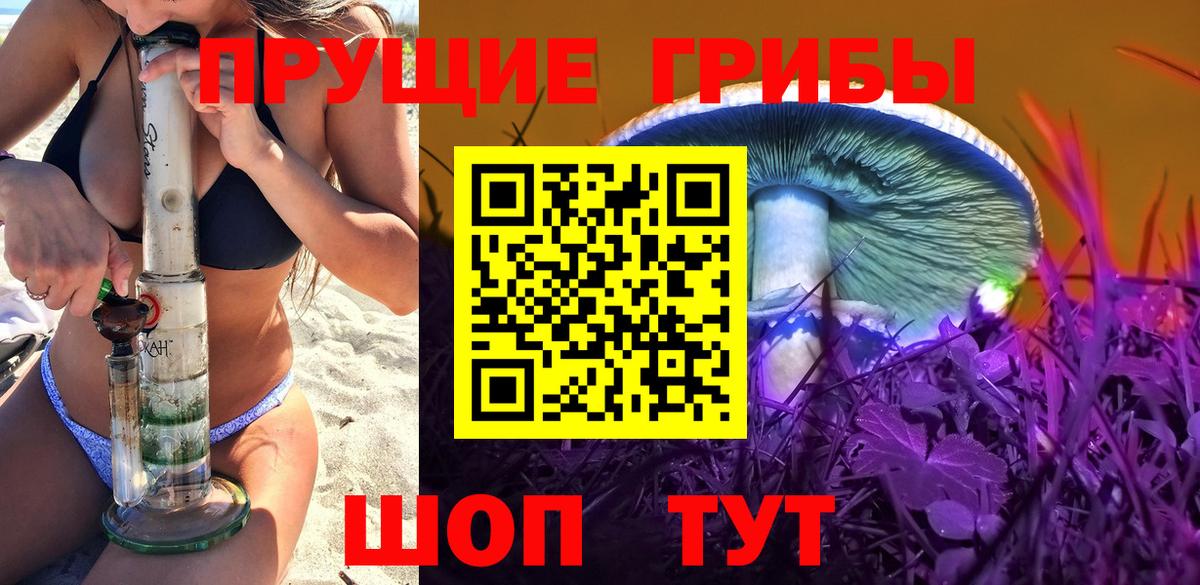 купить закладку  Галлюциногенные грибы Magic Shrooms  Вход с VPN  Дзержинск 